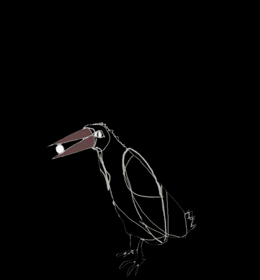 squawk
